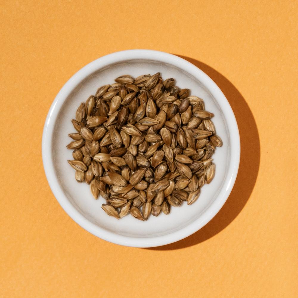 BabyCaptain Organic Barley Tea 20T